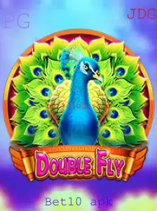 DoubleFly: Um Guia Completo para o Jogo Inovador
